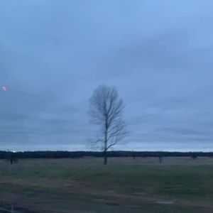 Meet your Posher, Gabe